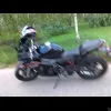 VGurik