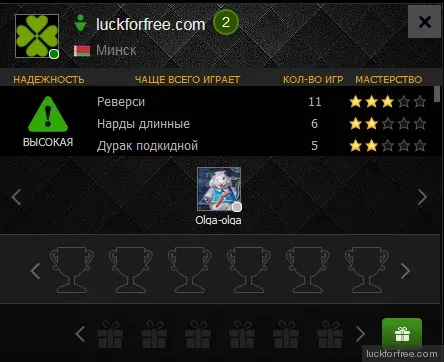 Личный профиль игрока 