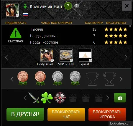 Публичный профиль игрока